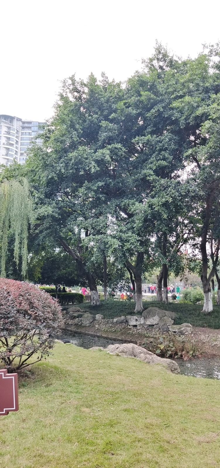 茶文化公园旅行图片 3