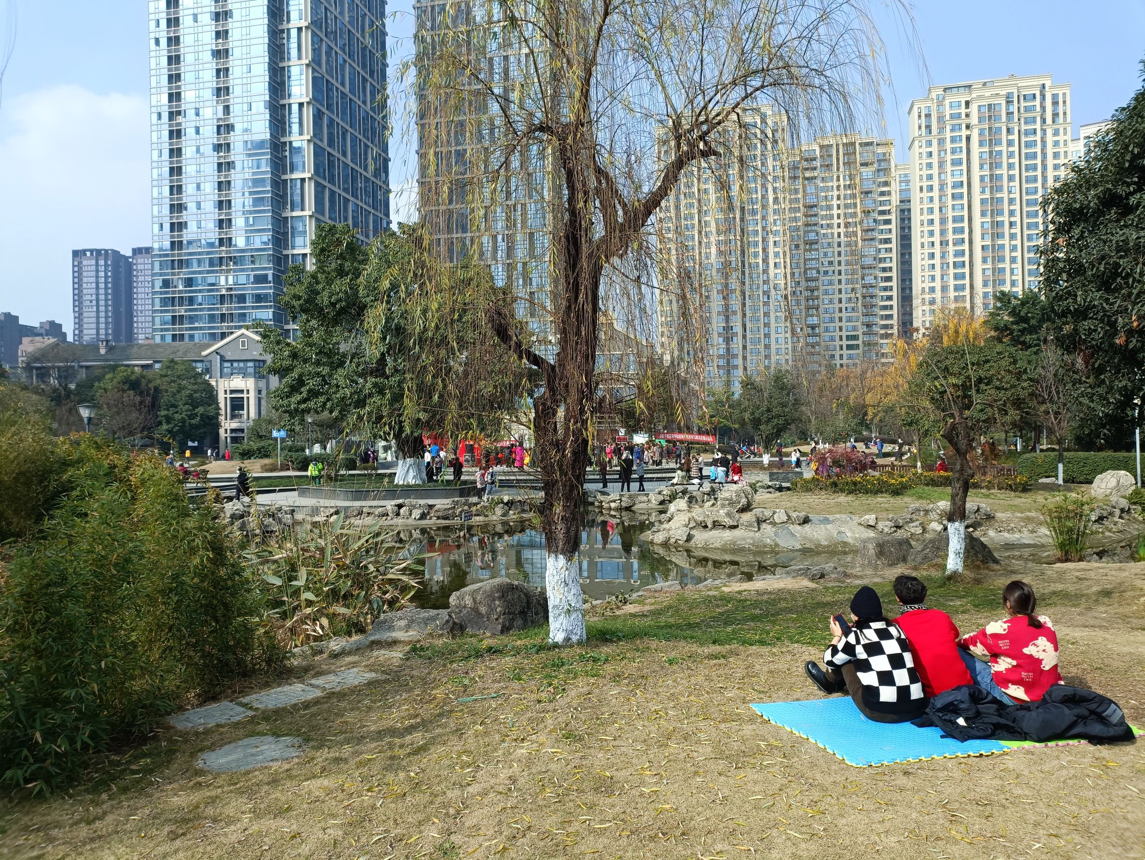 茶文化公园旅行图片 3