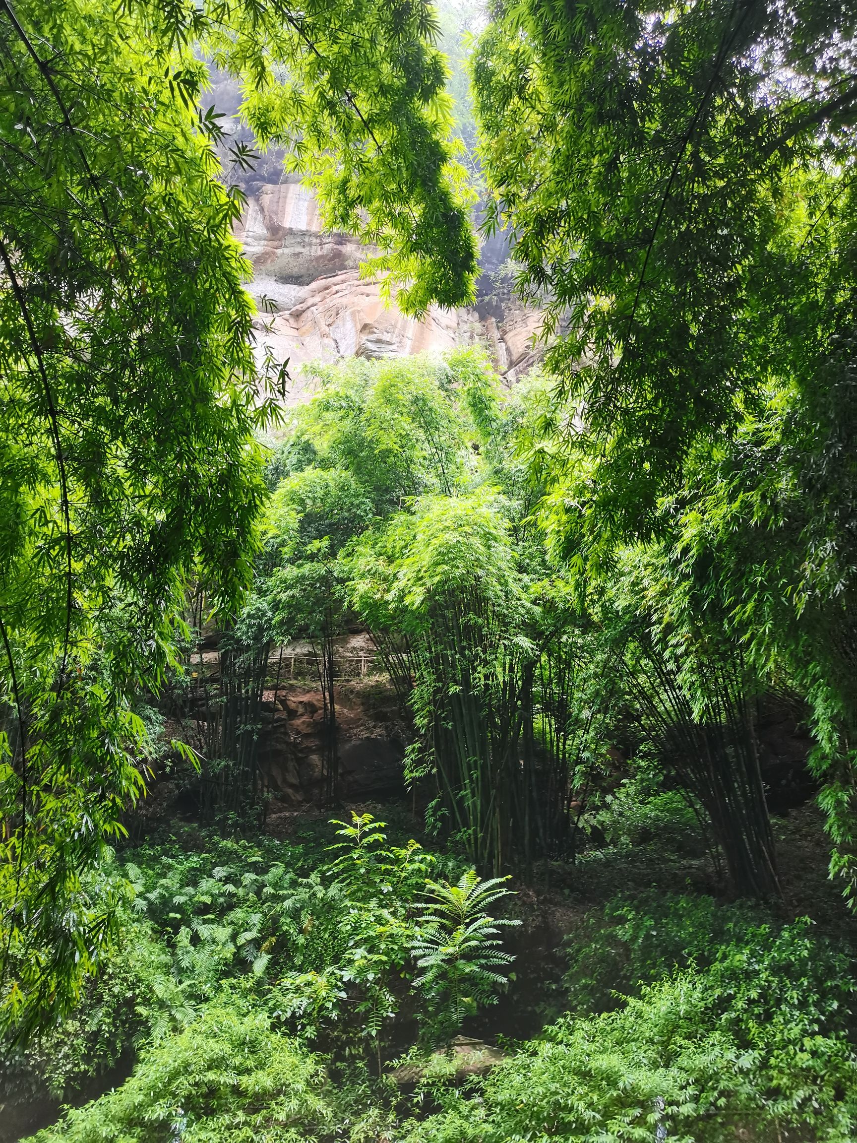 川西竹海景区旅行图片 3