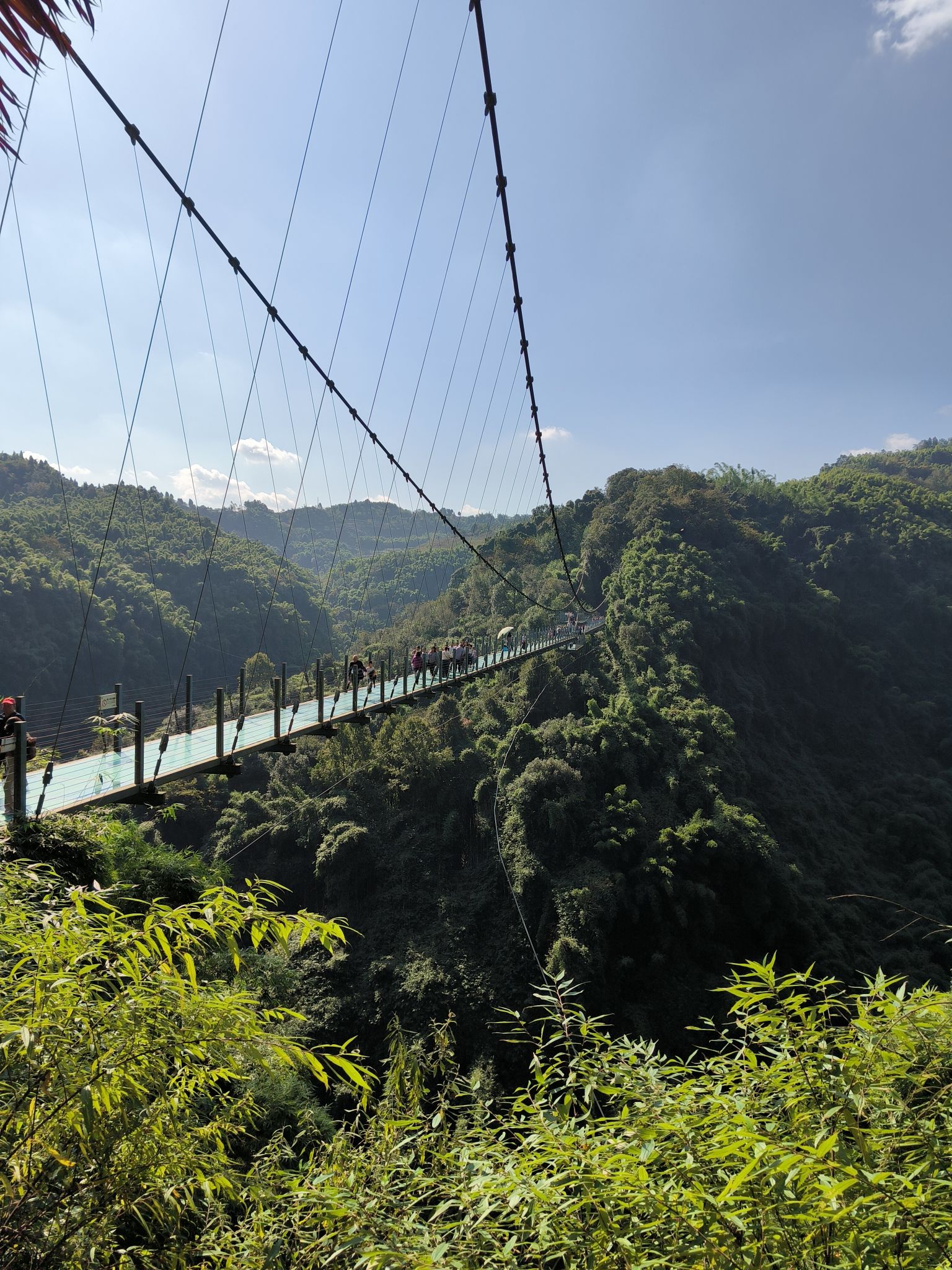 川西竹海景区旅行图片 1