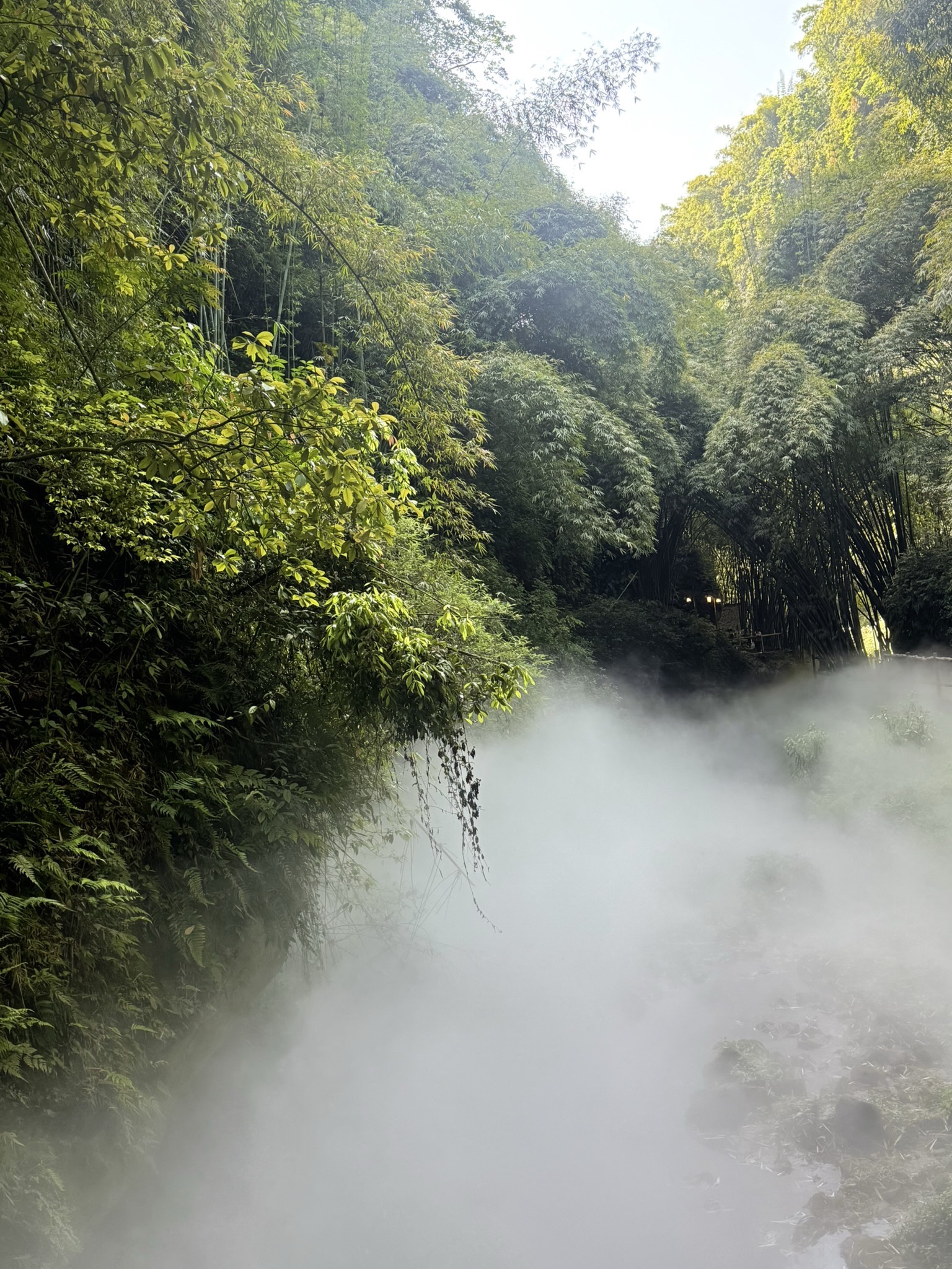川西竹海景区旅行图片 2