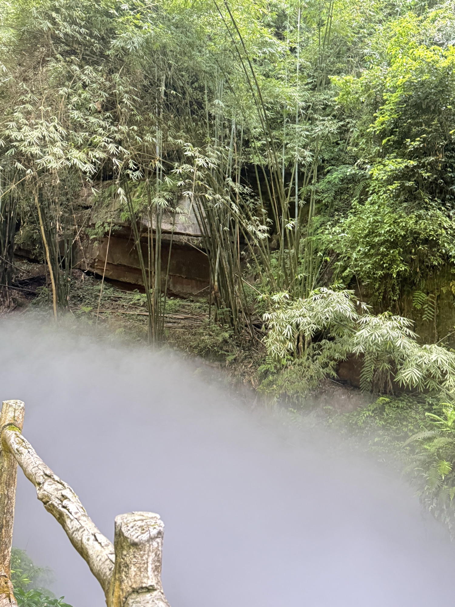 川西竹海景区旅行图片 1