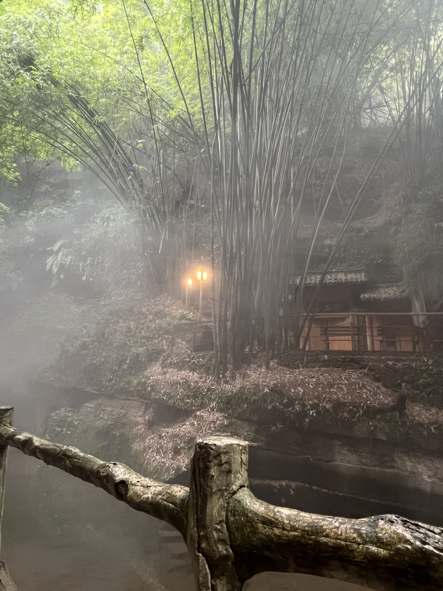 川西竹海景区旅行图片 1
