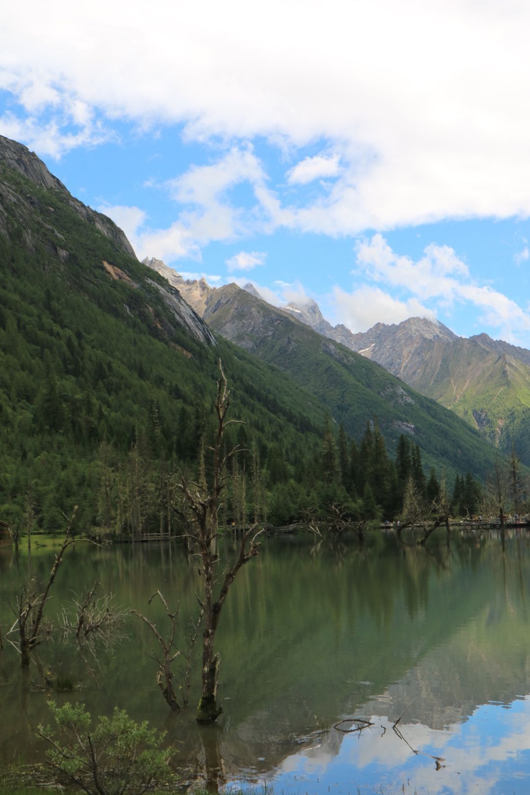 川西竹海景区旅行图片 2