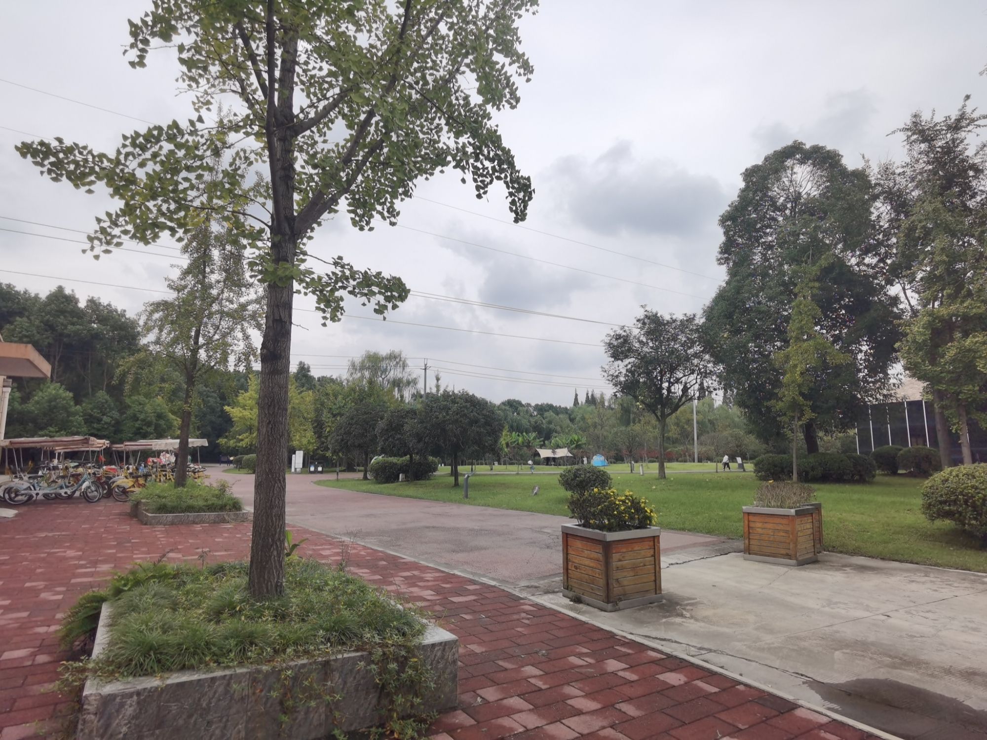 花香果居旅游景区旅行图片 3