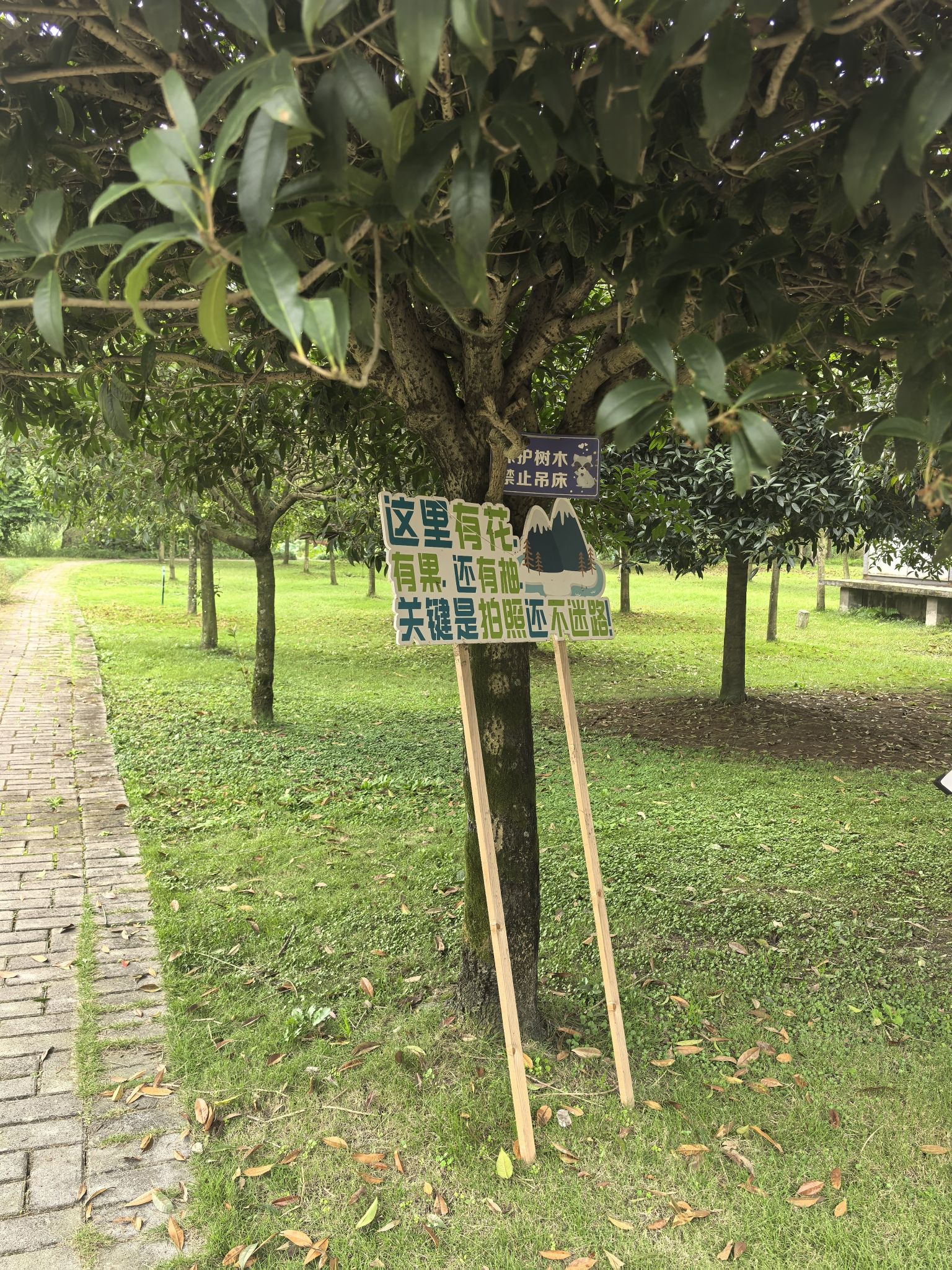 花香果居旅游景区旅行图片 1