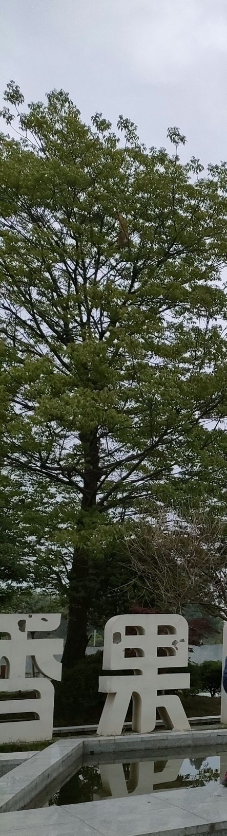 花香果居旅游景区旅行图片 3