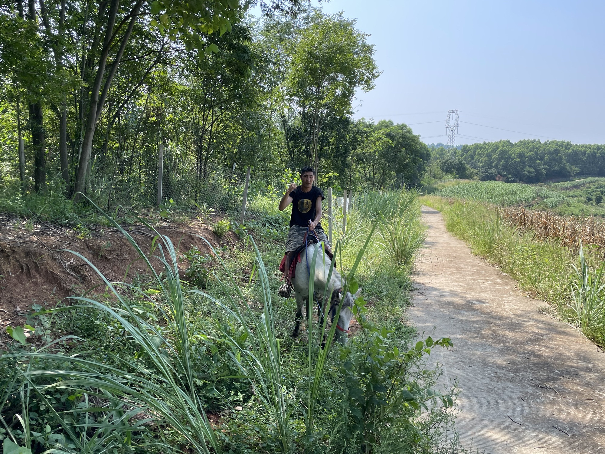 百花园旅行图片 3