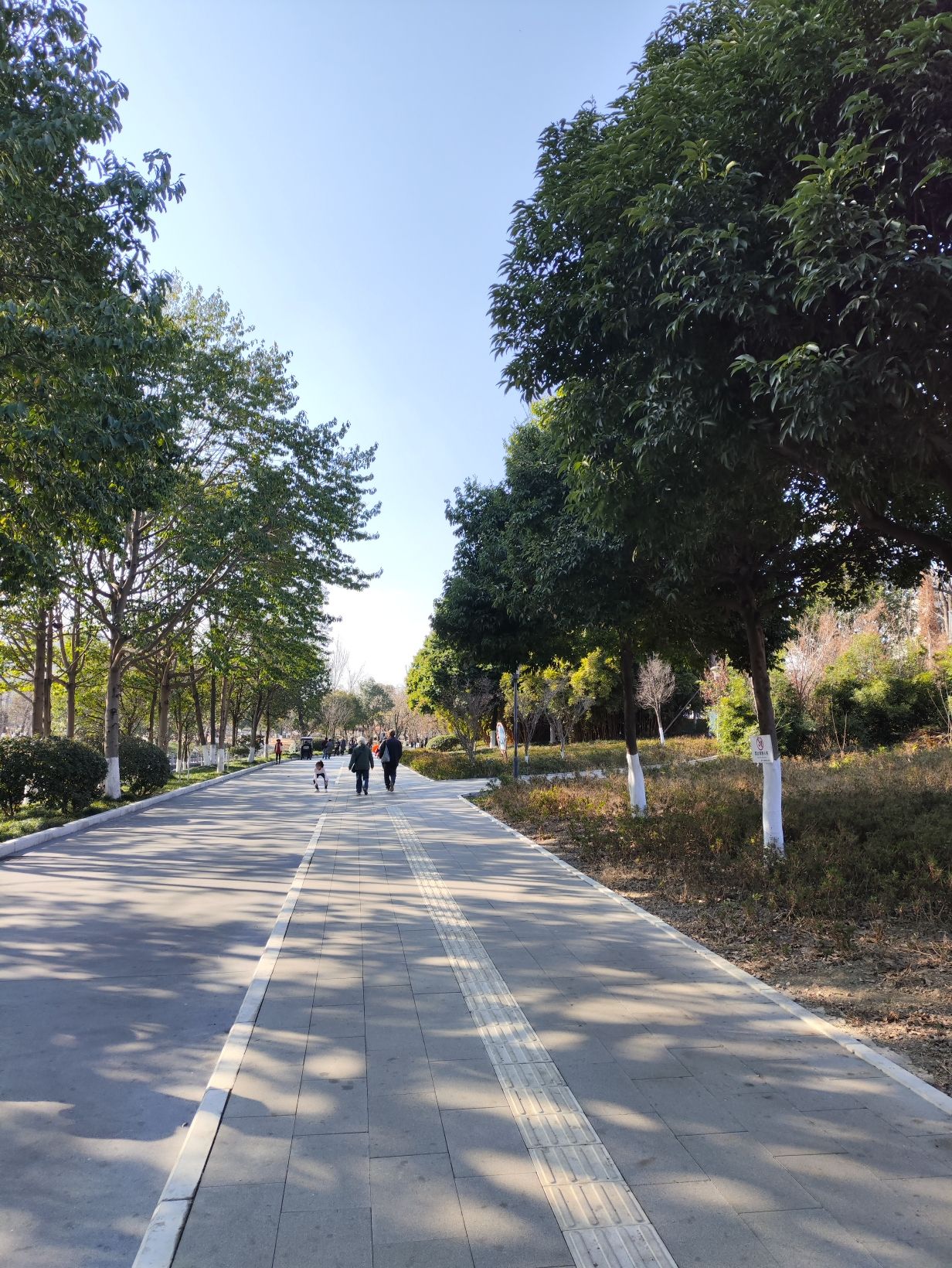 黄忠公园旅行图片 2