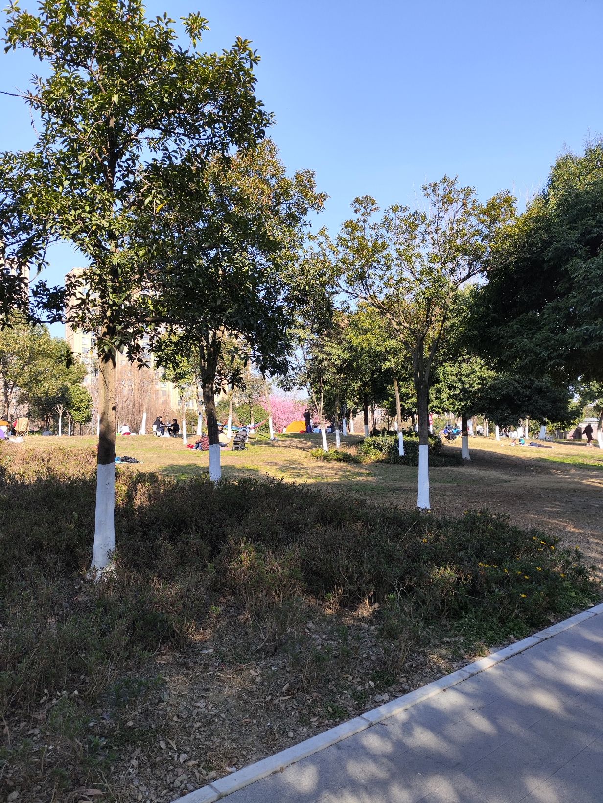 黄忠公园旅行图片 3