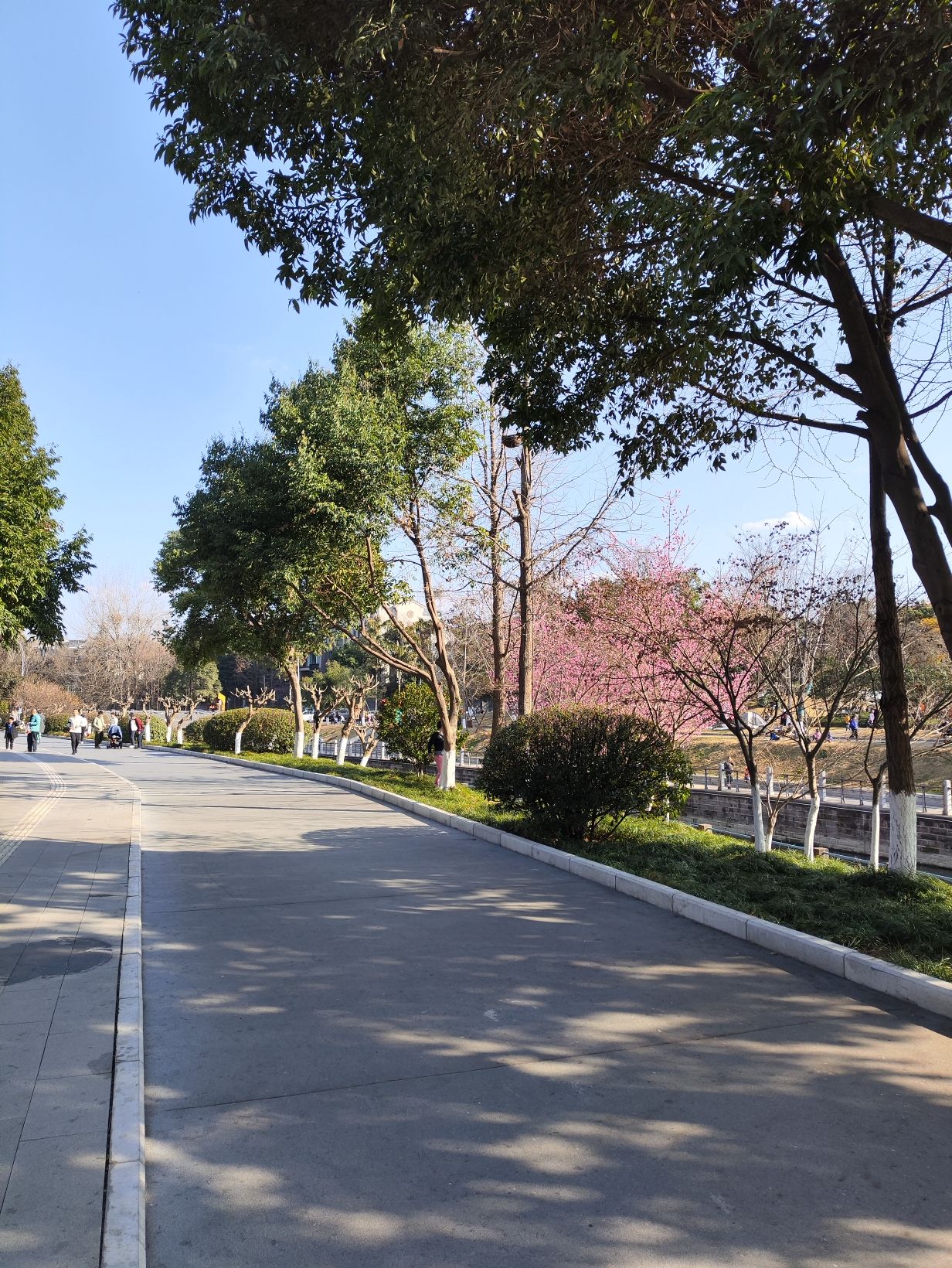 黄忠公园旅行图片 1