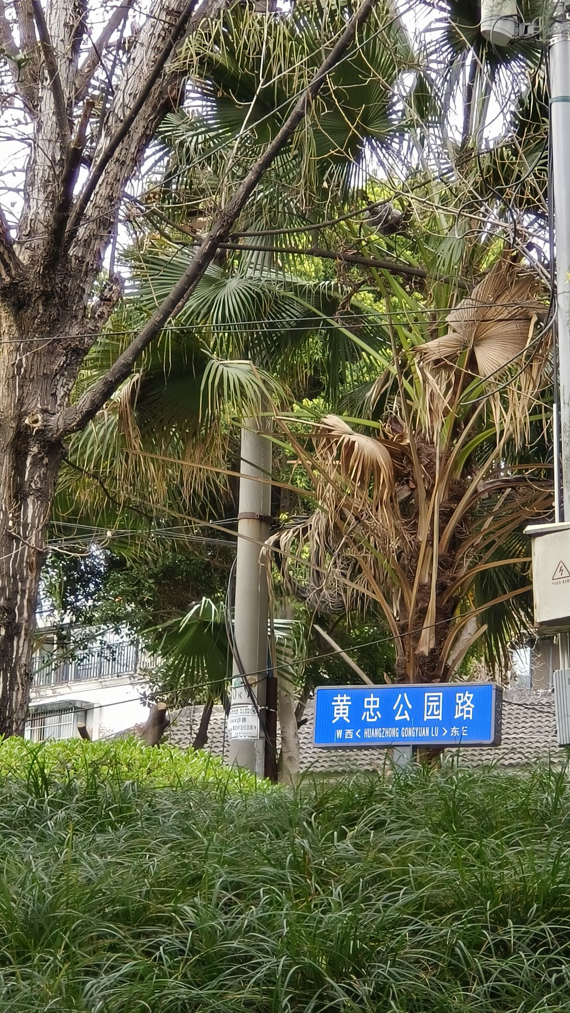 黄忠公园旅行图片 2