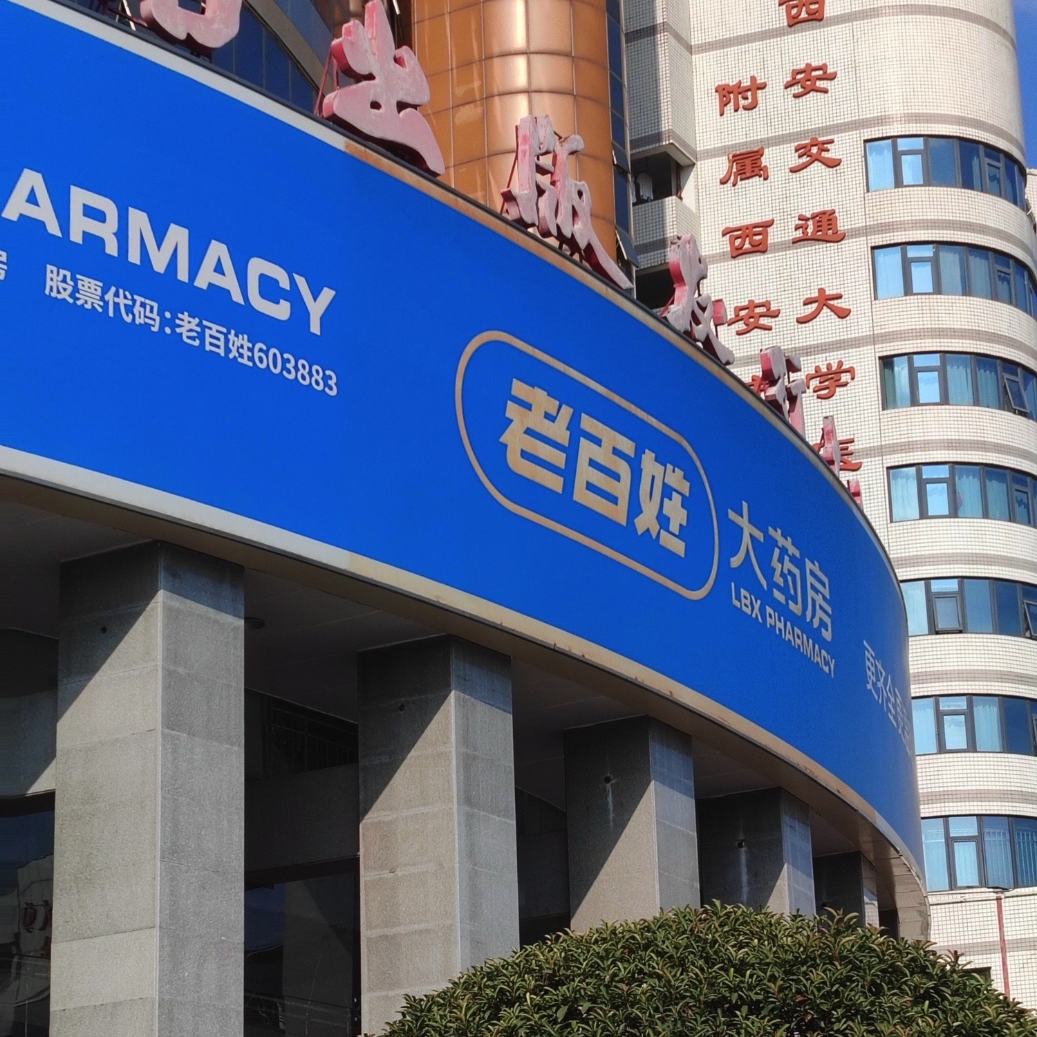 老百姓大药房(北大街店)