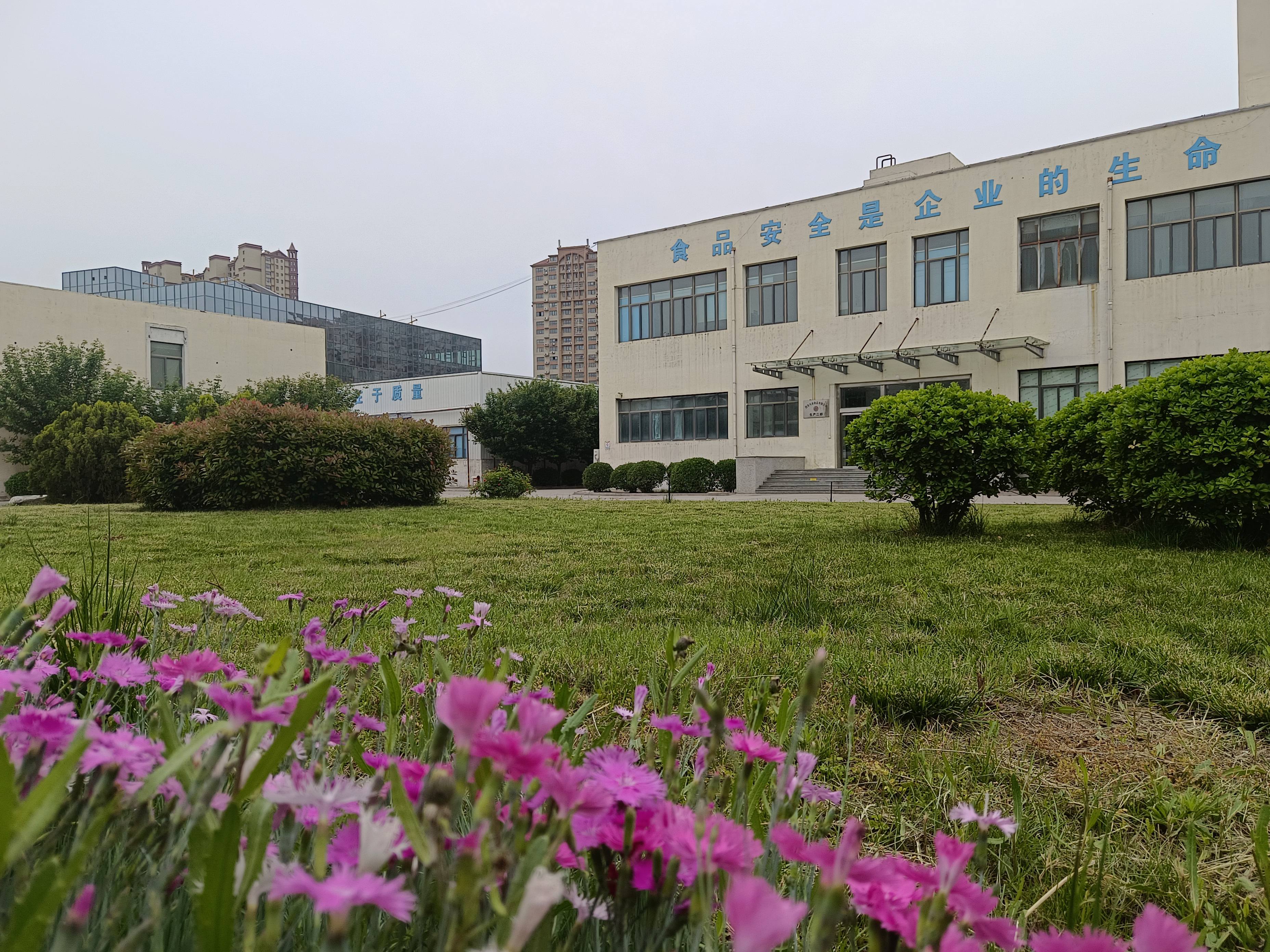 西安大业食品有限公司