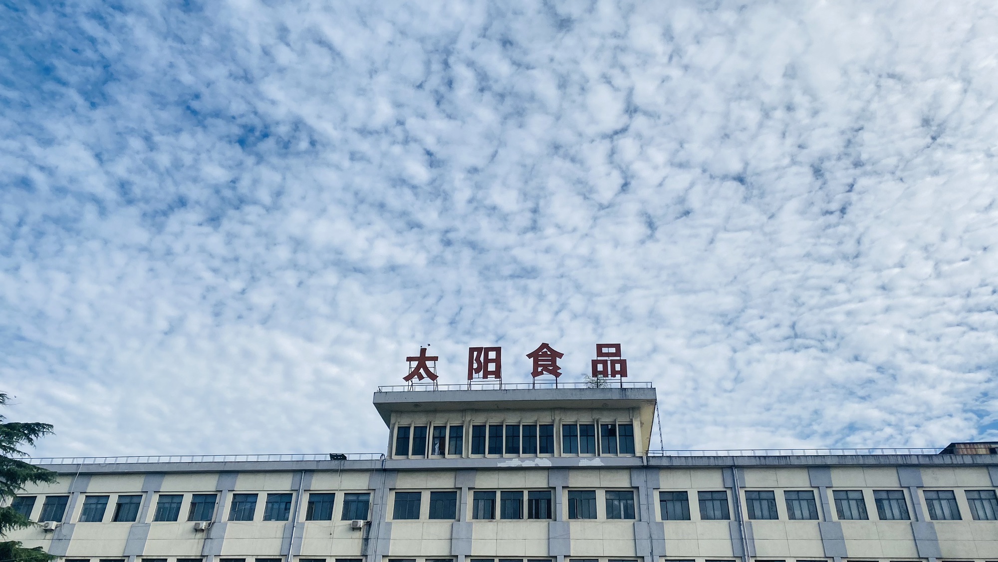 太阳食品