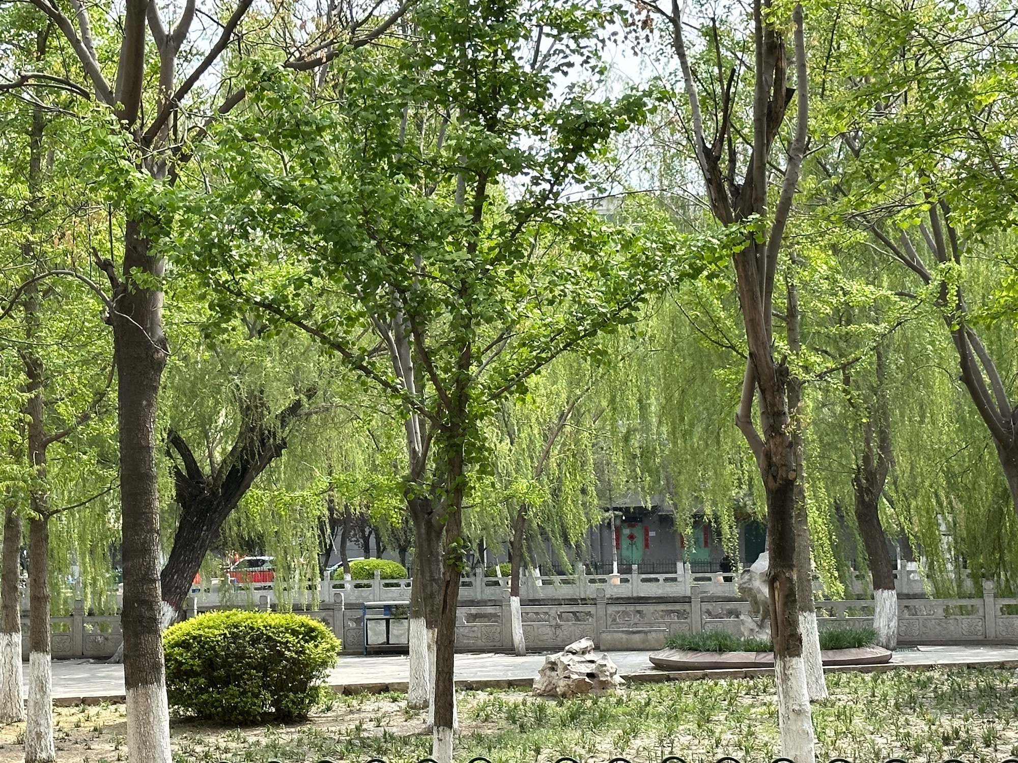 学步桥广场旅行图片 1