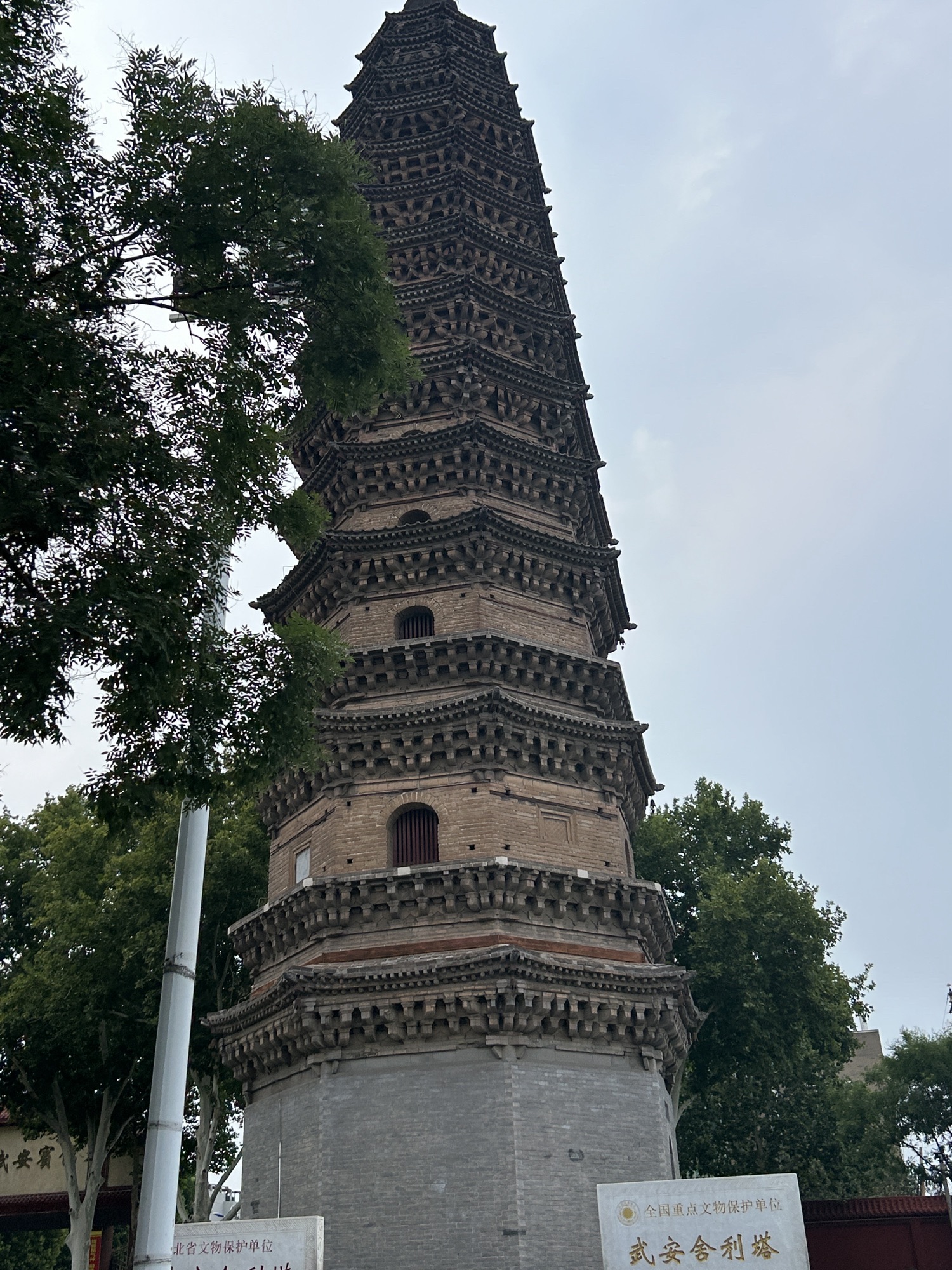 舍利塔旅行图片 2