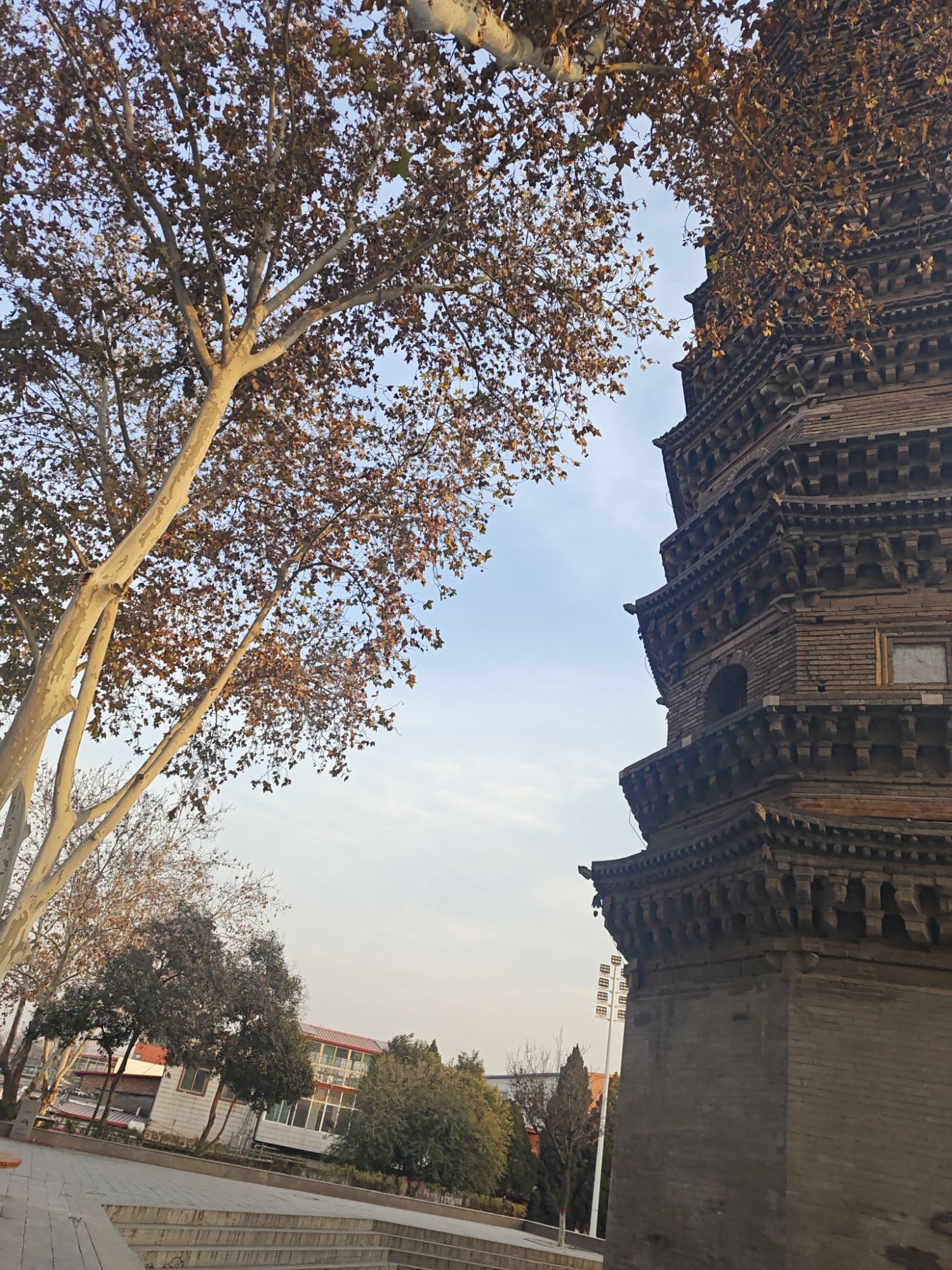 舍利塔旅行图片 3
