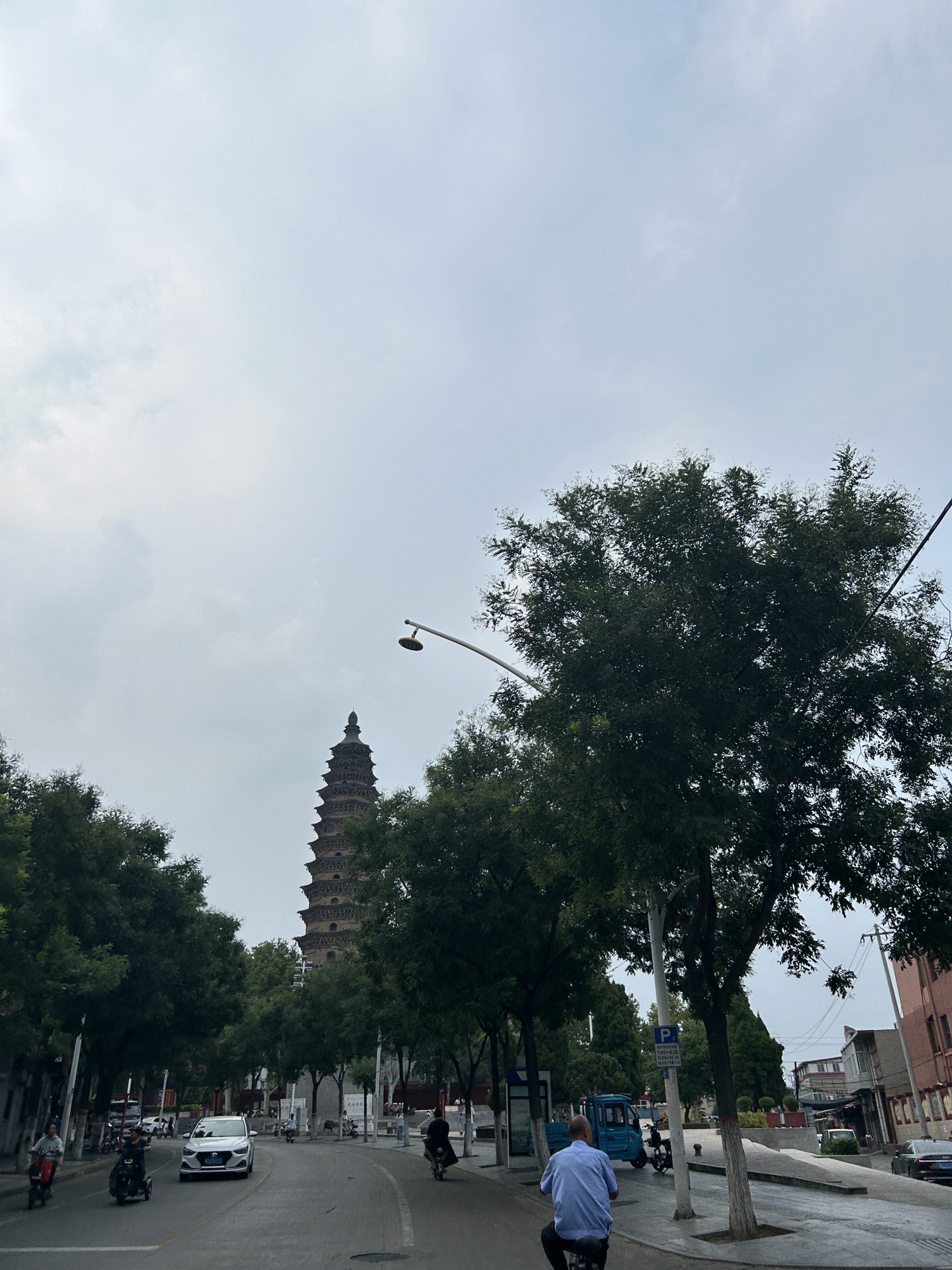 舍利塔旅行图片 1