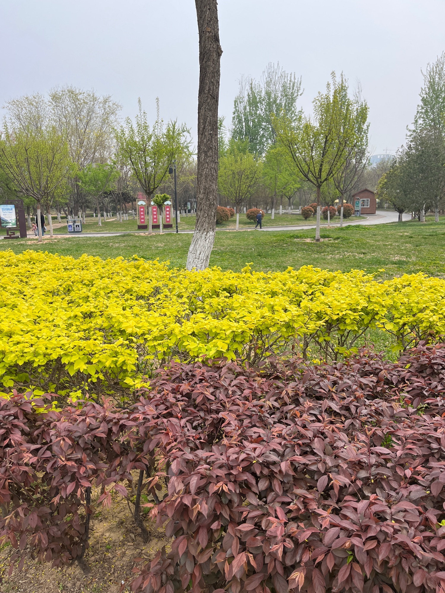赵苑公园旅行图片 1