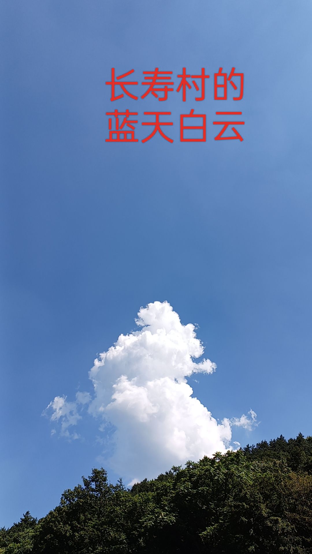 长寿村旅游风景区旅行图片