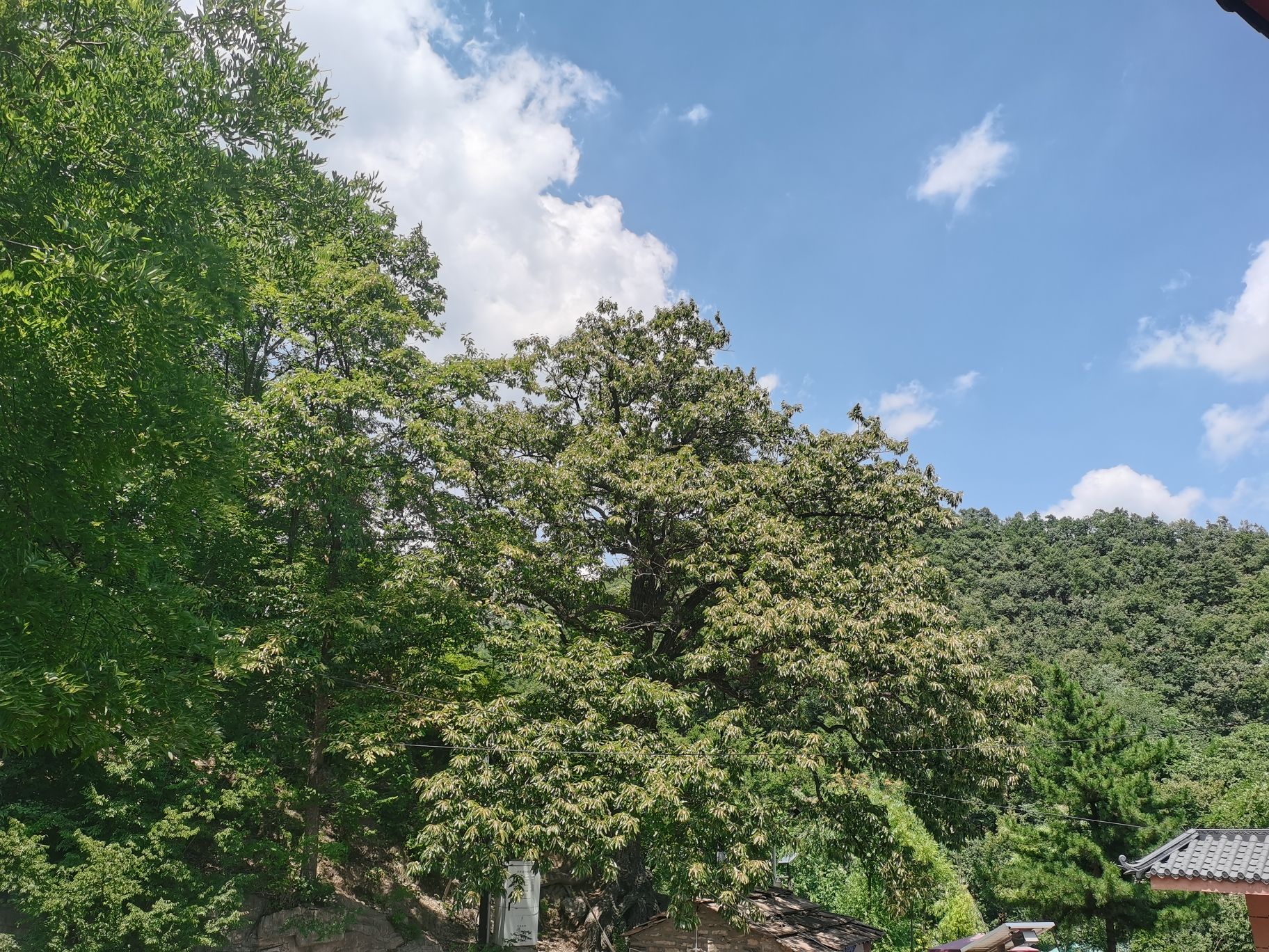 长寿村旅游风景区旅行图片