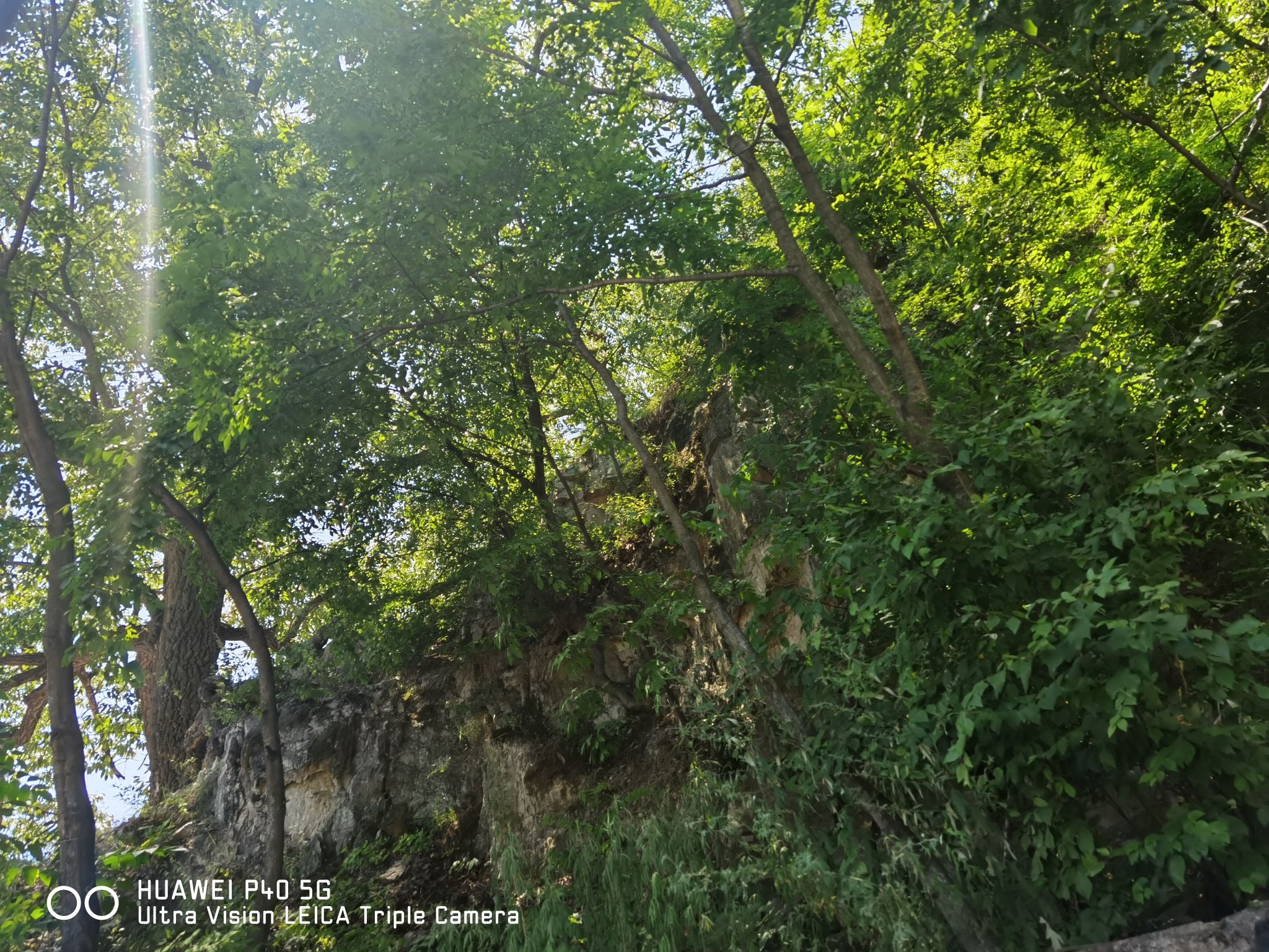 长寿村旅游风景区旅行图片