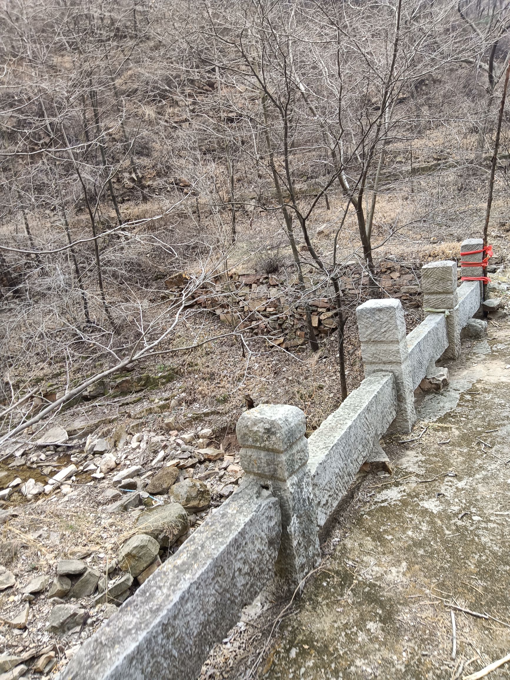 定晋岩禅果寺景区旅行图片 2