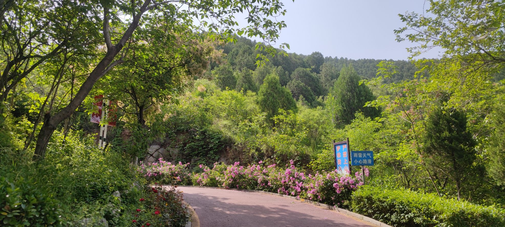 龙山公园旅行图片 2