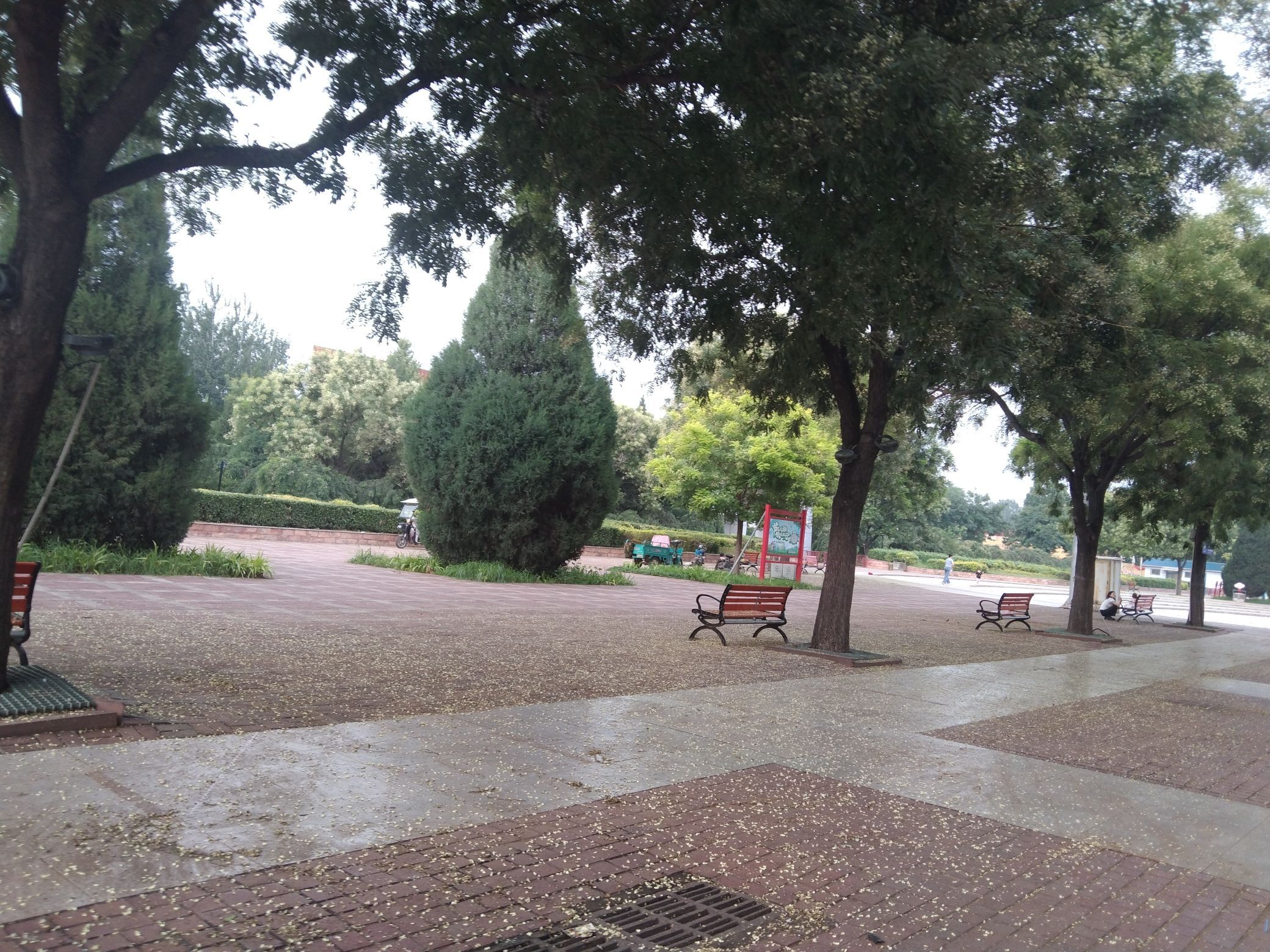 邱县文化广场旅行图片 1