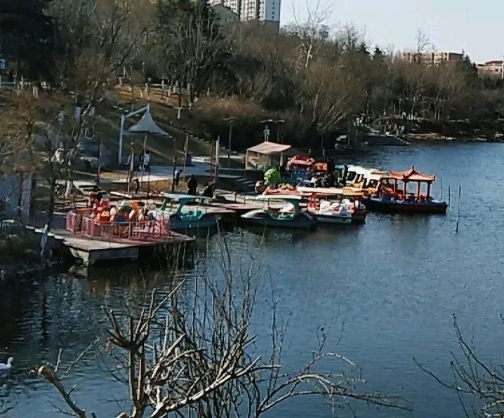白鹤公园旅行图片 3