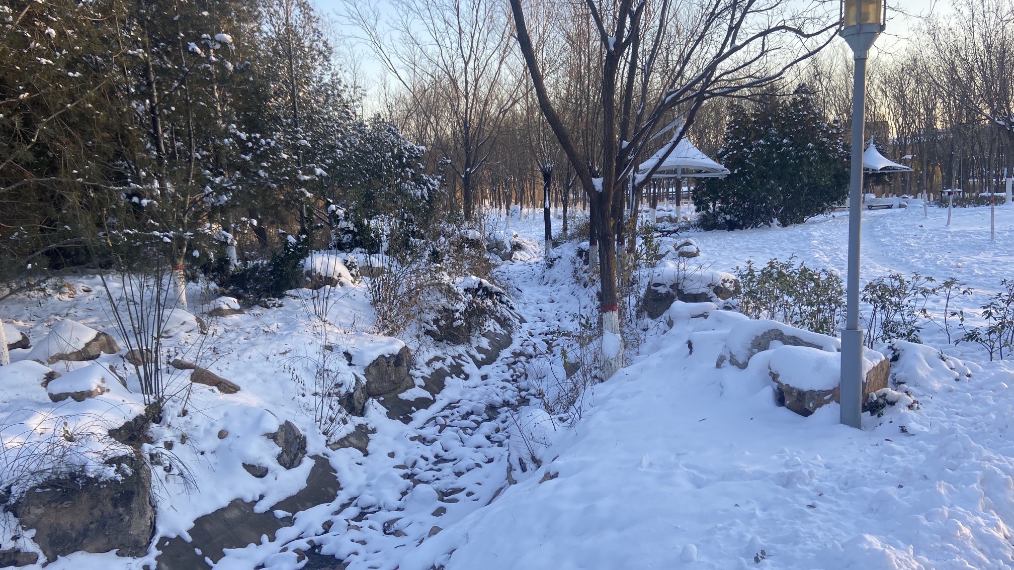 白鹤公园旅行图片 3