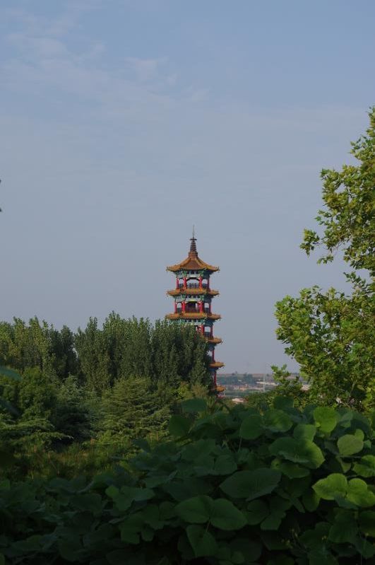 东山文化博艺园旅行图片 2