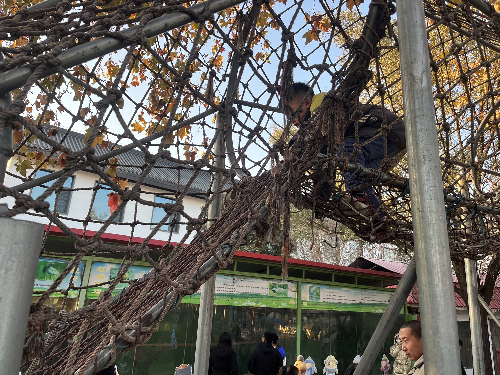 东山文化博艺园旅行图片 3