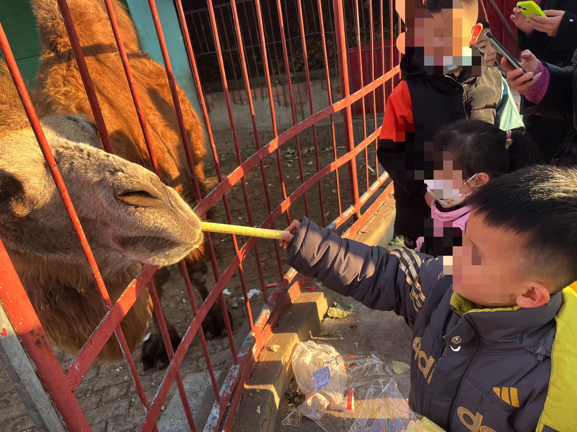 东山文化博艺园旅行图片 1