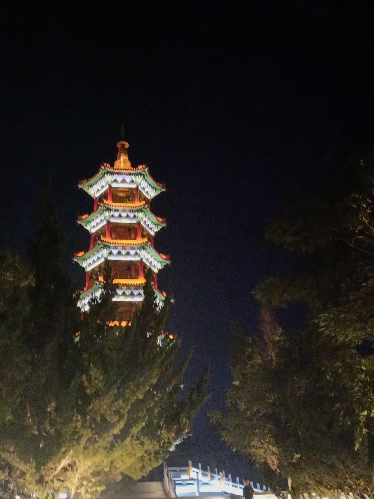 东山文化博艺园旅行图片 2