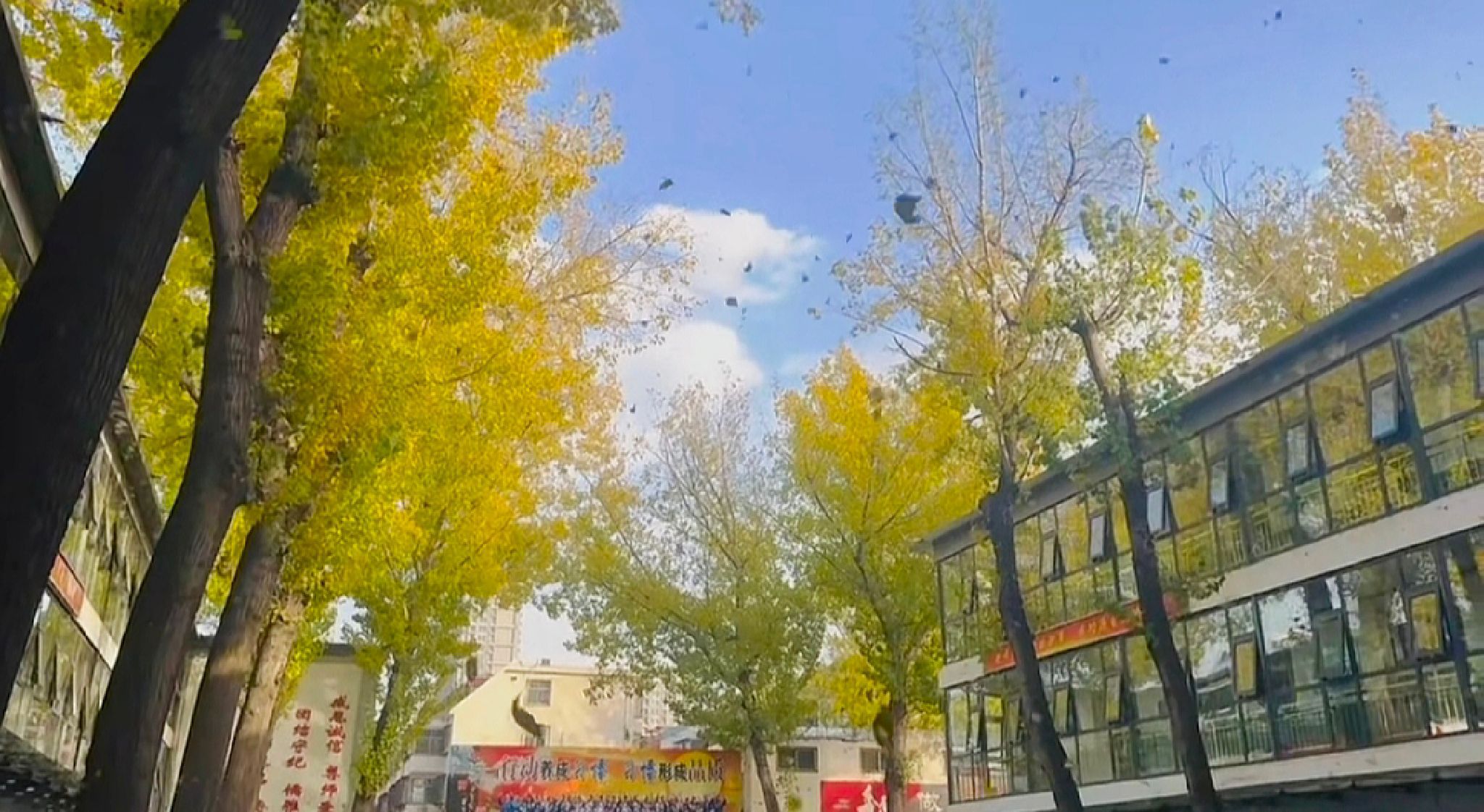 邯郸市第十一中学(西校区)