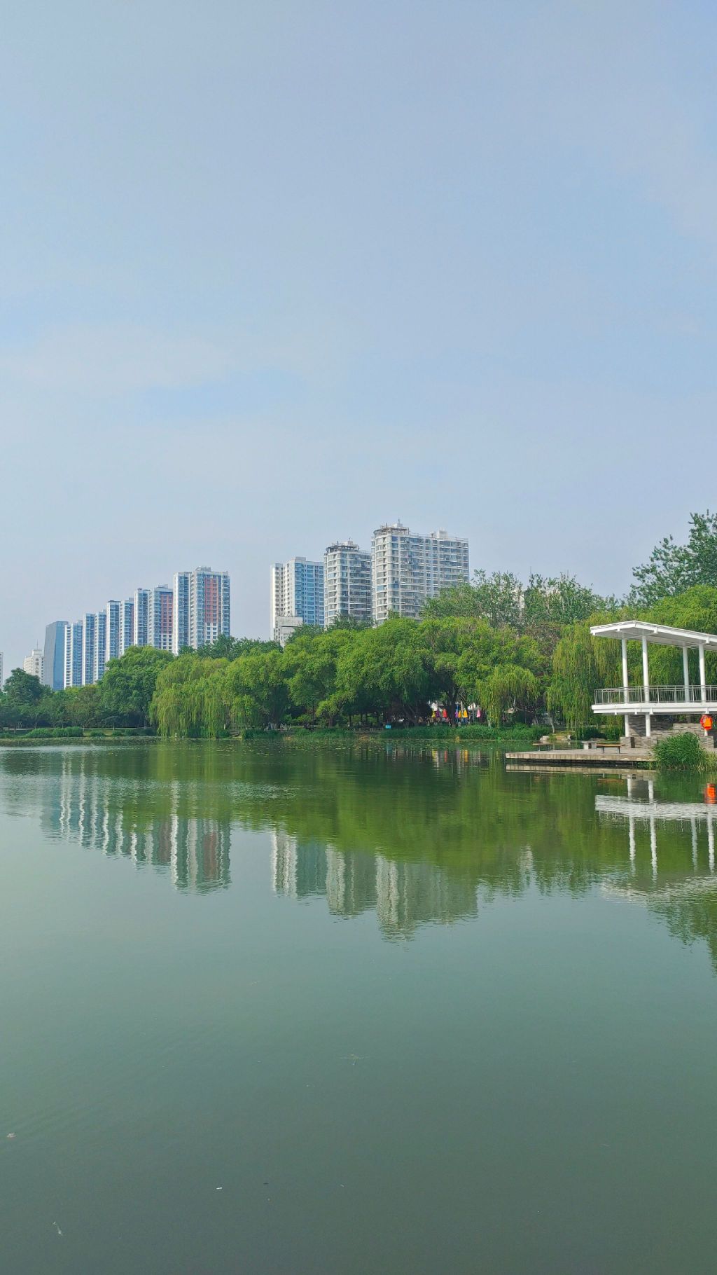 龙湖公园旅行图片 2