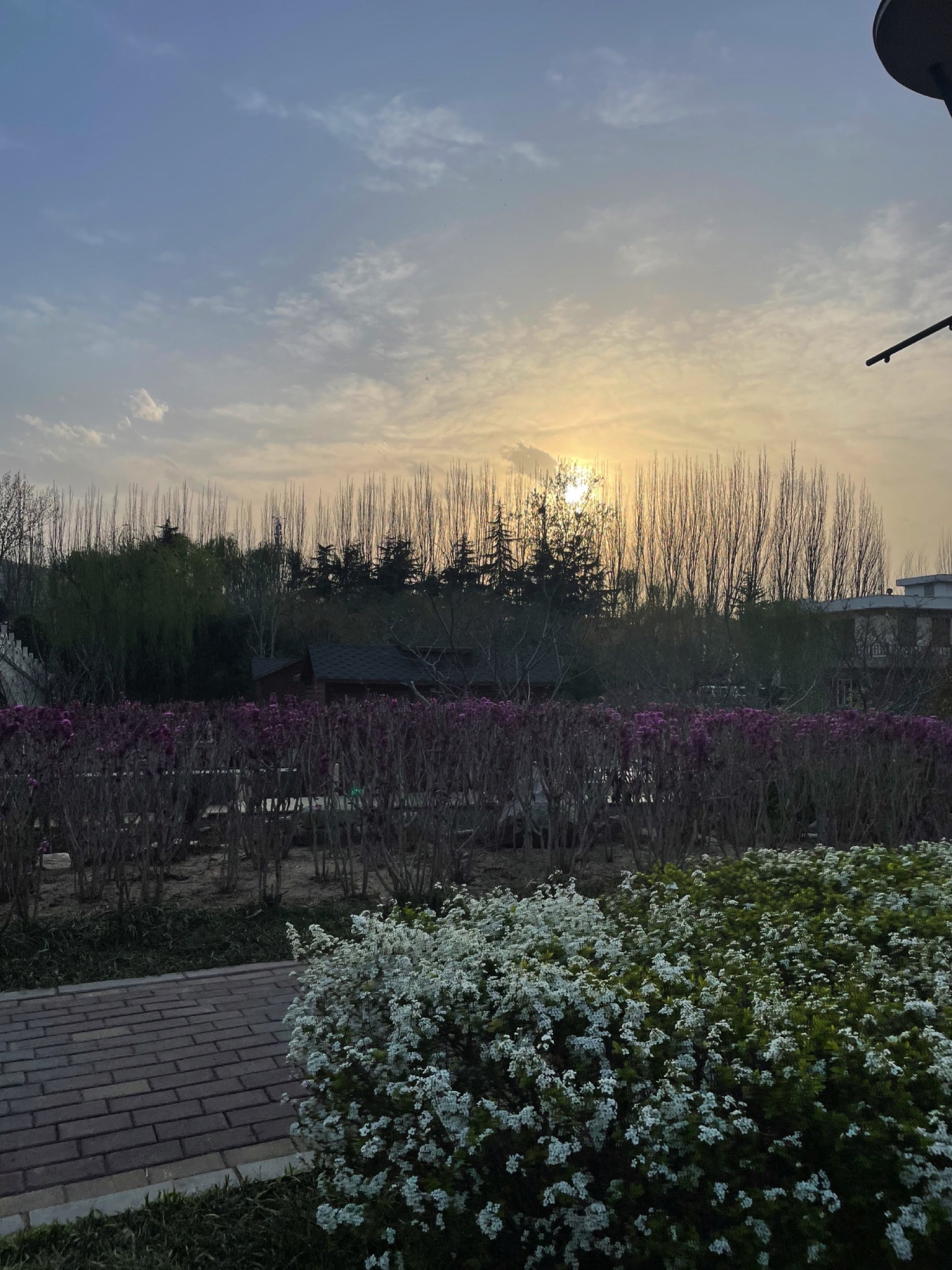 龙湖公园旅行图片 1