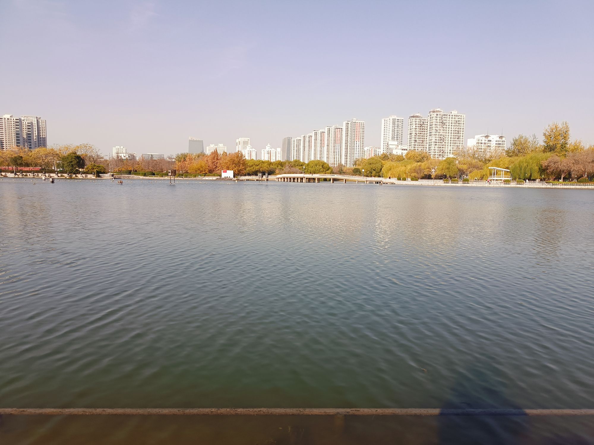 龙湖公园旅行图片 2