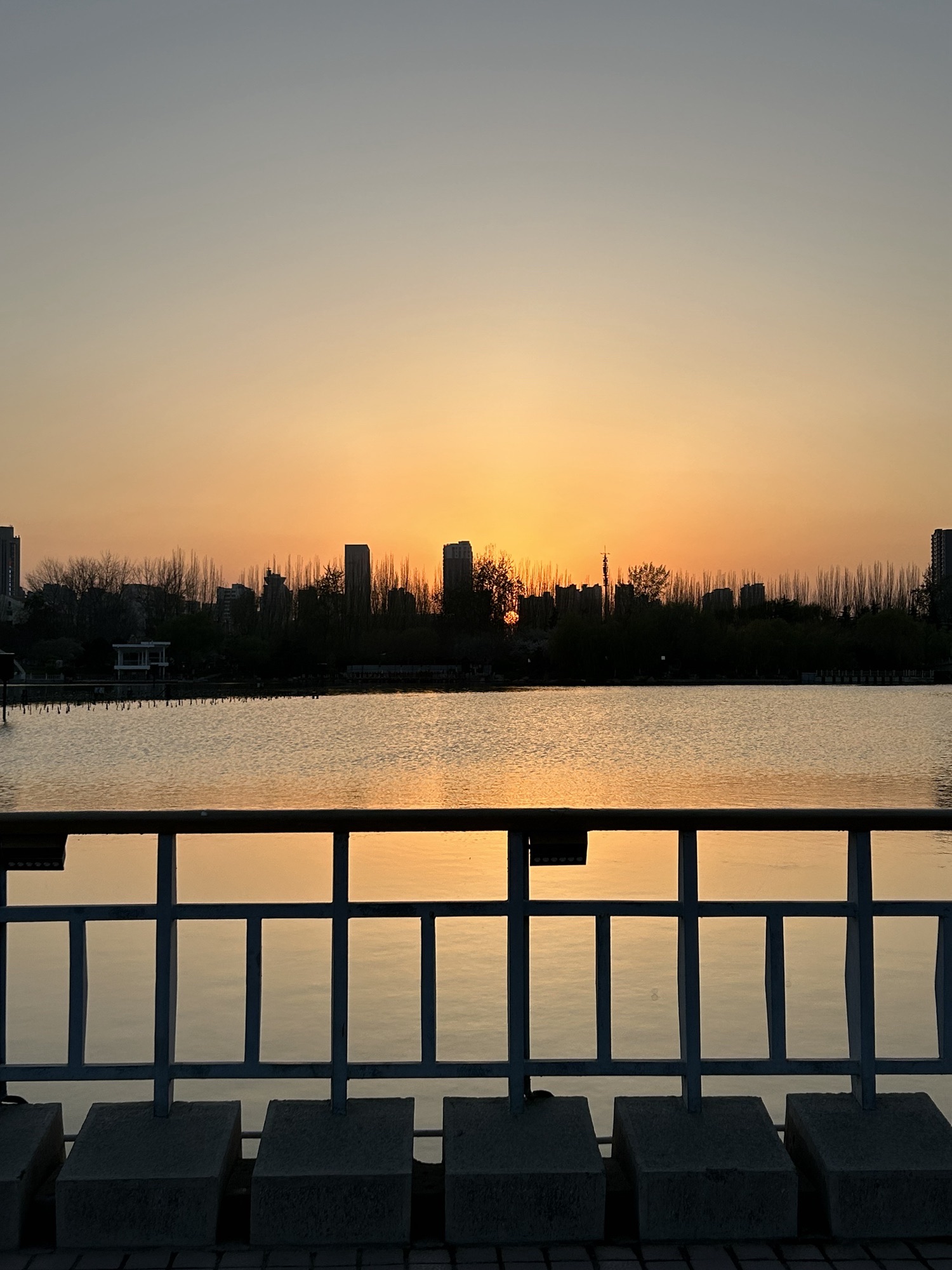 龙湖公园旅行图片 2