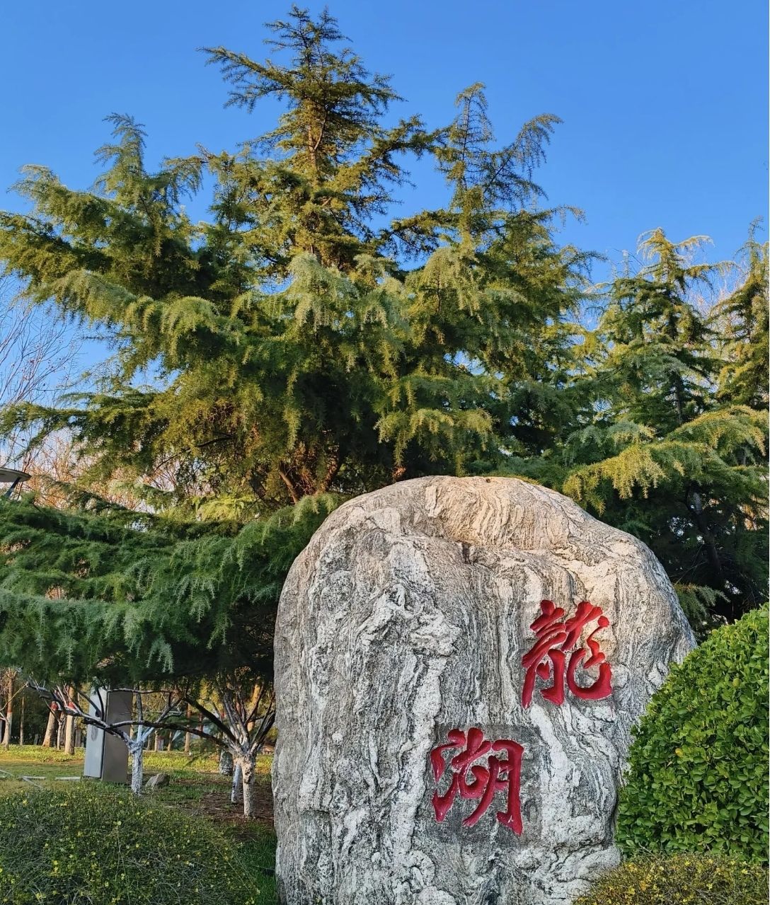 龙湖公园