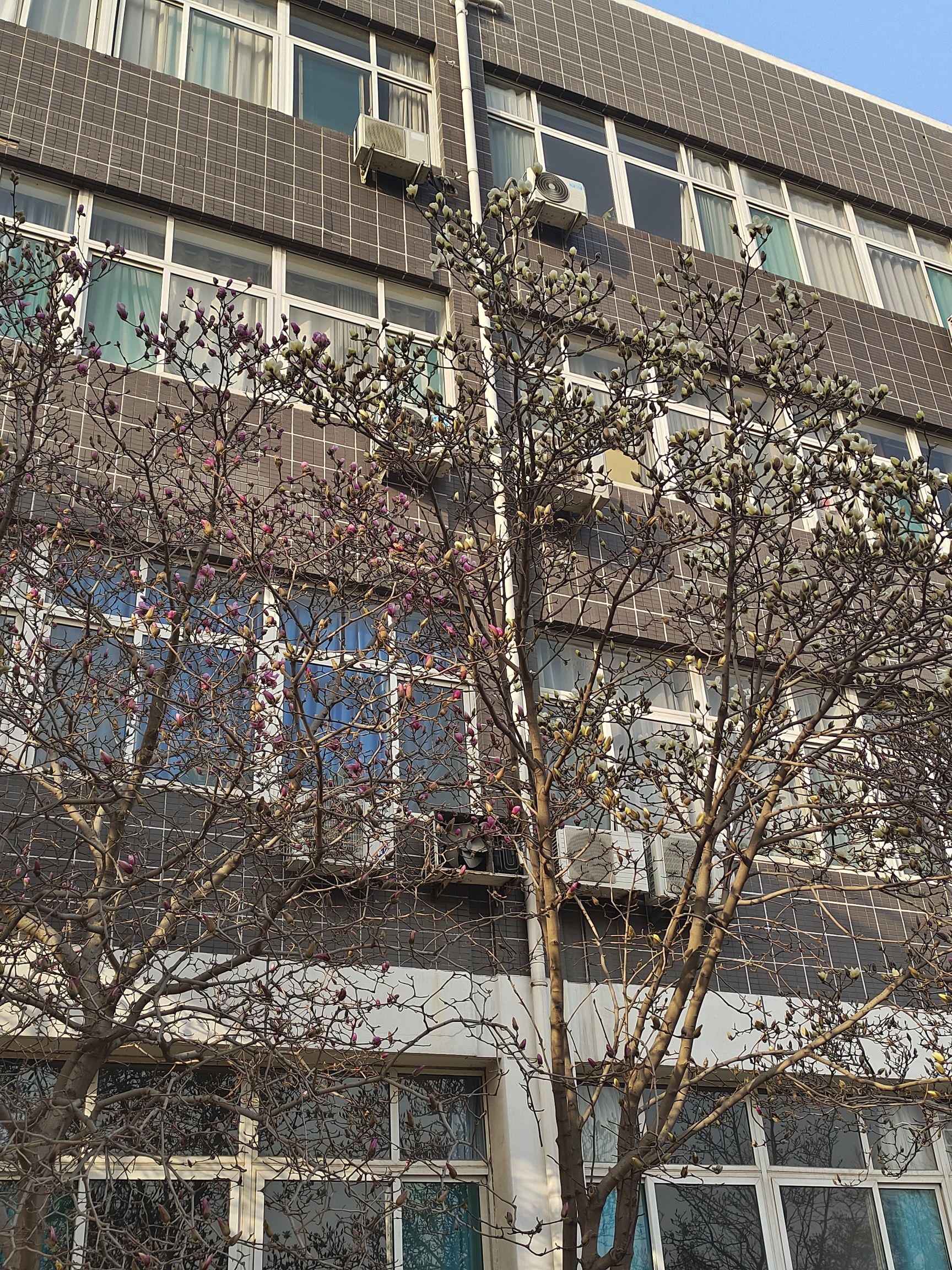 邯郸学院学生公寓