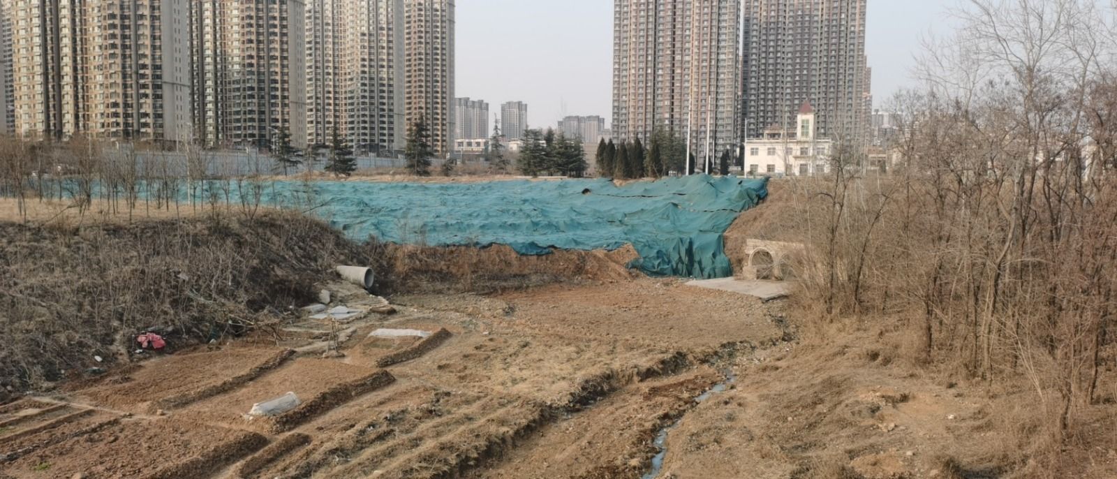 西苑森林公园旅行图片 1