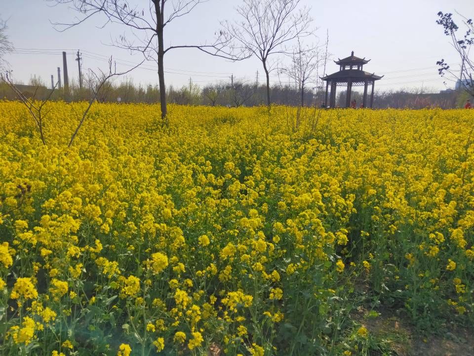 洺州公园旅行图片 2