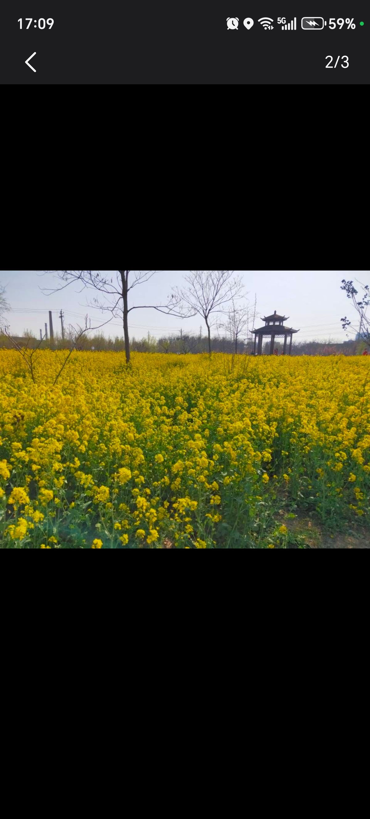 洺州公园旅行图片 2