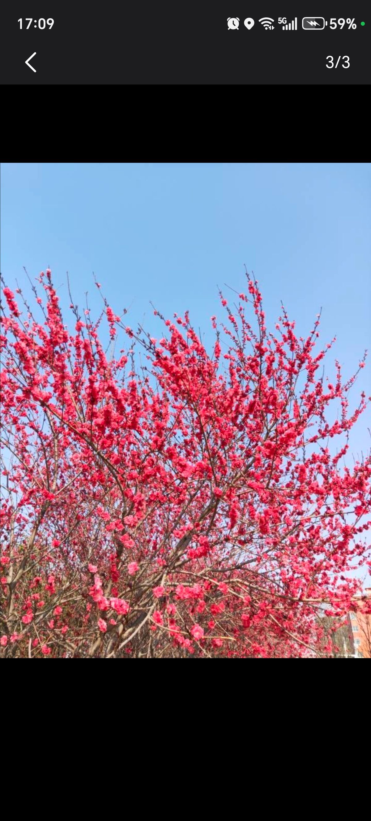 洺州公园旅行图片 1