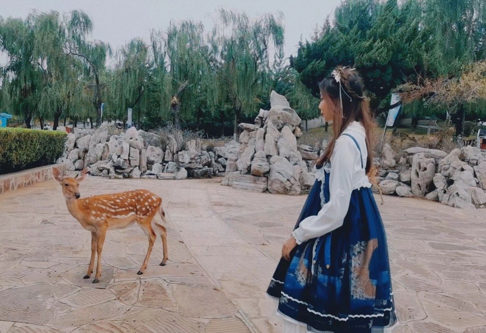 东山森林公园旅行图片 2