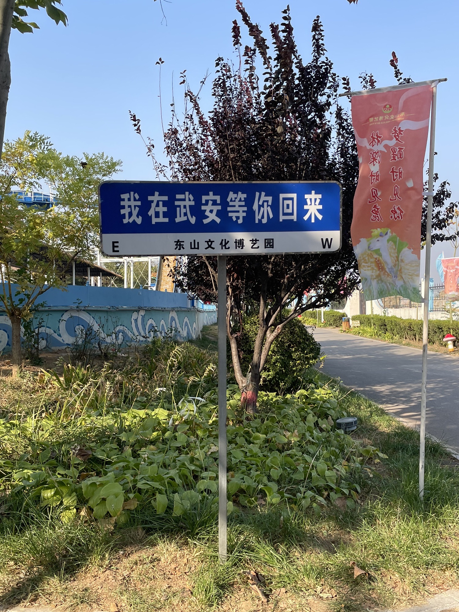 东山森林公园旅行图片 3