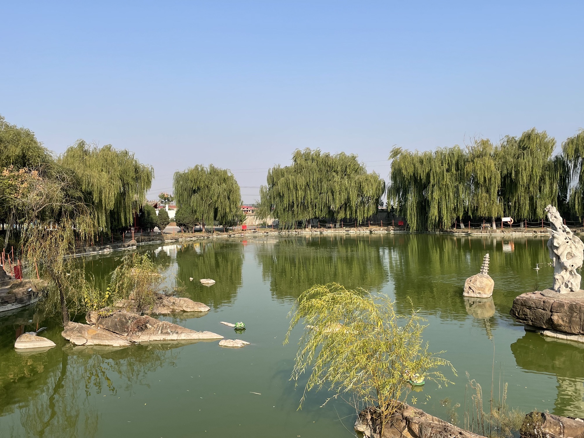 东山森林公园